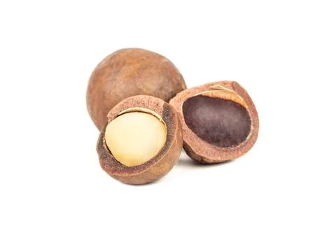 Split macadamia nut Stock Photos