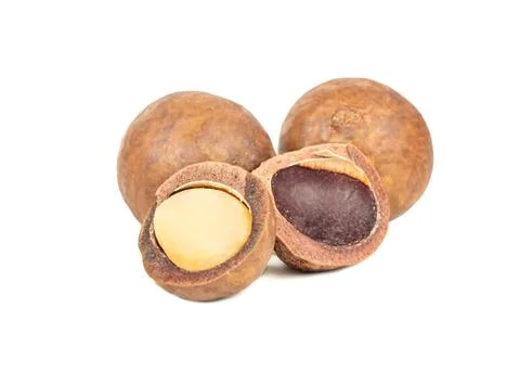 Split macadamia nut Stock Photos