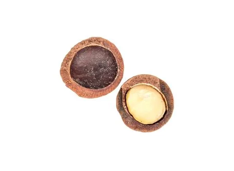 Split macadamia nut Foto stock