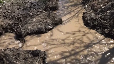 A split in a muddy stream Video stock 106224348