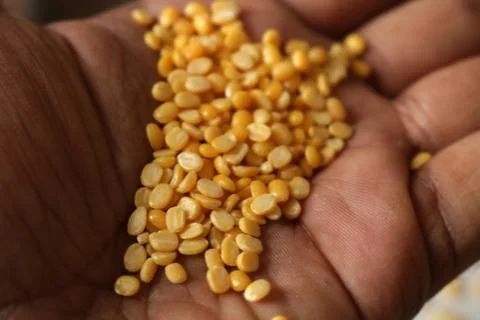 Split mung beans Stock Photos