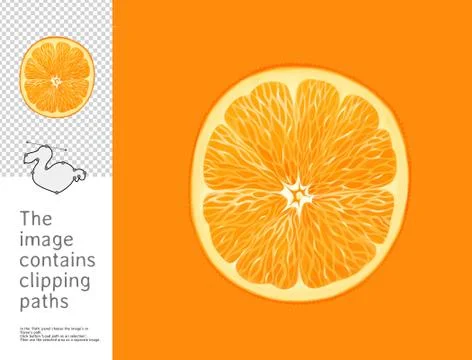 Split orange, Dodo collection Stock Illustration