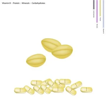 Split Pea with Vitamin B, Protein, Minerals and Carbohydrates Stock Illustration
