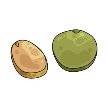 Split peas illustration Illustrazione stock