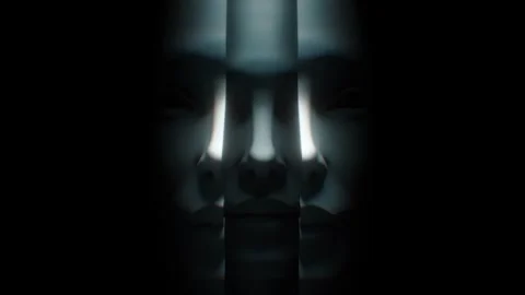 Split Personality Stock Footage 273322972