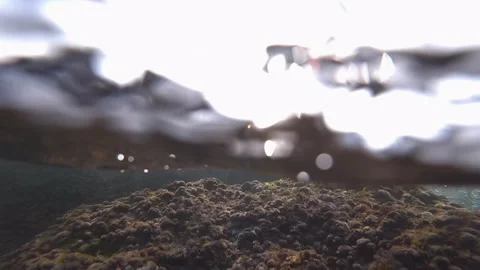 Split perspective capturing both above and below the waterline, revealing rocks Video stock 343101116