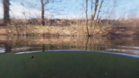 Split perspective of river showing surface and underwater debris with organ.. 스톡 동영상 336666088