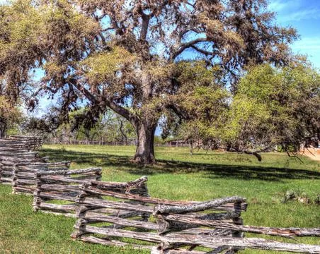Split-rail zig-zag fence in front of a beautiful oak tree 스톡 사진