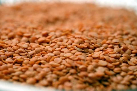 Split Red Lentils (Masoor Dal) Texture with Defocus Background Macro Photog.. Stock Photos