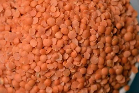 Split Red Lentils (Masoor Dal) Texture with Defocus Background Macro Photog.. Stock Photos