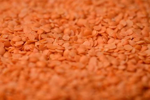 Split Red Lentils (Masoor Dal) Texture with Defocus Background Macro Photog.. Stock-Fotos