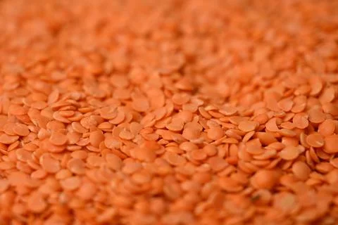 Split Red Lentils (Masoor Dal) Texture with Defocus Background Macro Photog.. Stock Photos