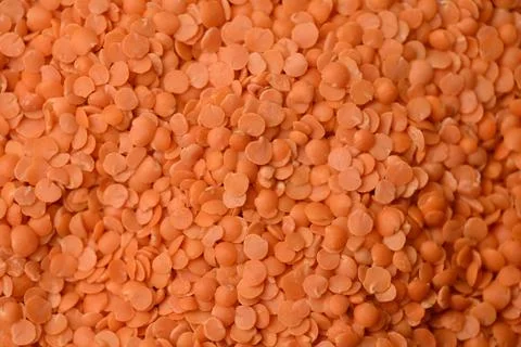 Split Red Lentils (Masoor Dal) Texture with Defocus Background Macro Photog.. Stock Photos