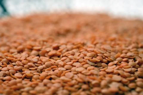Split Red Lentils (Masoor Dal) Texture with Defocus Background Macro Photog.. Foto stock