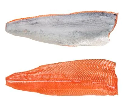 The split salmon for sushi Stock Photos