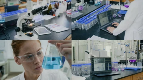 Split Screen of Chemist Examining Solution, Working on Laptop Studying Results Video stock 295018650