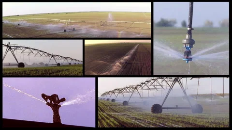 Split screen of field irrigation. Stock Footage 57296441