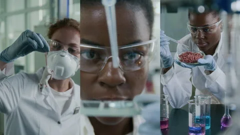 Split Screen of Food Scientist Carrying out Experiment, Biologist Holding Mouse Stock Footage 295019270