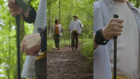 Split Screen of Multi-ethnic Couple of Tourists Exploring Forest Paths Stock Footage 290304549