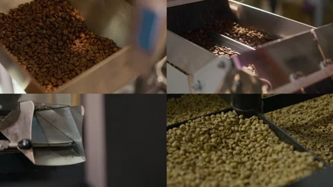 Split Screen of Stages of Coffee Bean Processing in Coffee Roasting Plant Stock Footage 301286865