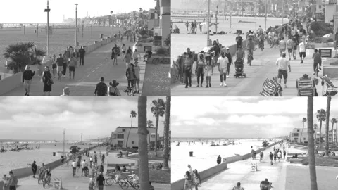 Split Screen Surveillance Los Angeles Beach Video stock 235101009