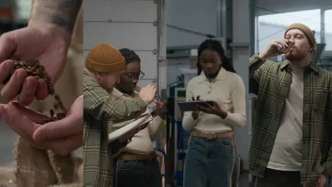 Split Screen of Two Managers Inspecting Production at Coffee Roasting Plant Video stock 301287192