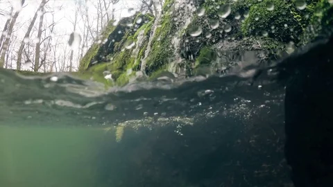 Split screen underwater shot Stock Footage 84159690
