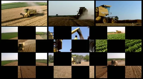 Split screen of wheat harvesting. Combination of aerial/ground footage. Stock Footage 68188154