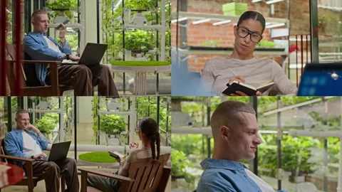 Split Screen of Young Diverse Colleagues Discussing Vertical Farming Video stock 300278489
