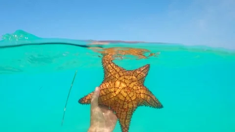 Split shot of a an azure tropical sea on Saona Island, Dominican Republic Stock Footage 204858615