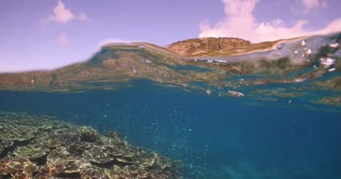 Split shot Coral Reef and island Stock Footage 302889768