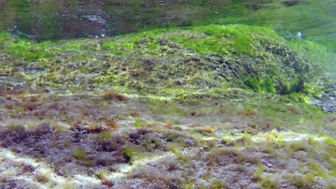 Split-shot, over-under shot. Underwater shot of the coast of a beach of Isola 스톡 동영상 164774575