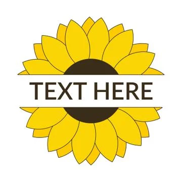 Split sunflower with blank space for text Illustrazione stock