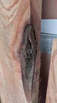 Split teak wood Stock Photos