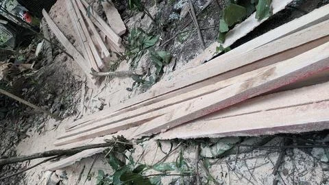 Split teak wood Stock Photos