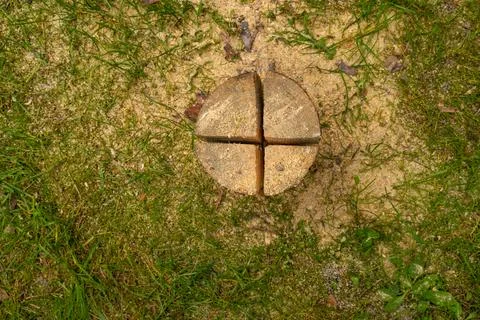 Split Tree Stump Surrounded by Sawdust and Grass Stock Photos