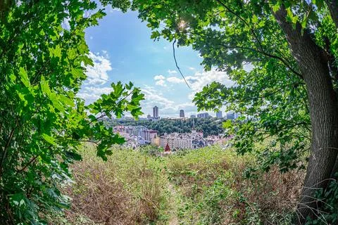 A split tree trunk frames a distant urban landscape nestled amidst greenery,  Stock Photos