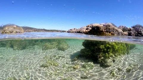 Split underwater view in Alghero, Sardinia Video stock 85372356