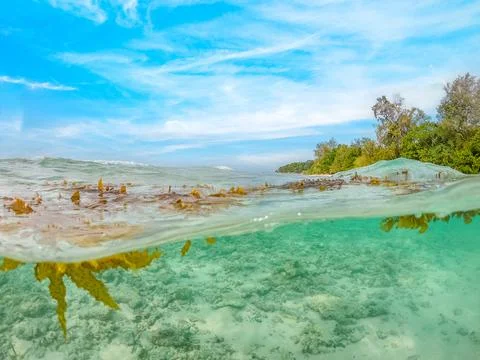 Split underwater view of Anse Source d'Argent beach Stock Photos