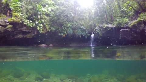 Split underwater view of Bassin Paradis waterfall in Basse Terre jungle. Guadelo 库存影片 169185327