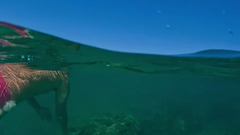 Split underwater view of man fishing razor clams with snorkel Stock Footage 279400272