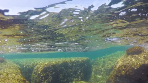 Split underwater view of a rocky seabed in Sardinia, Italy Video stock 318413010