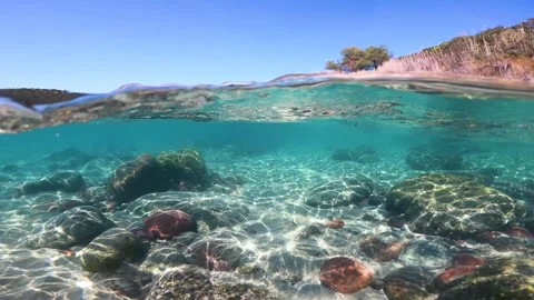 Split underwater view of a seabed with sand and rocks in Sardinia, Italy Video stock 318413022