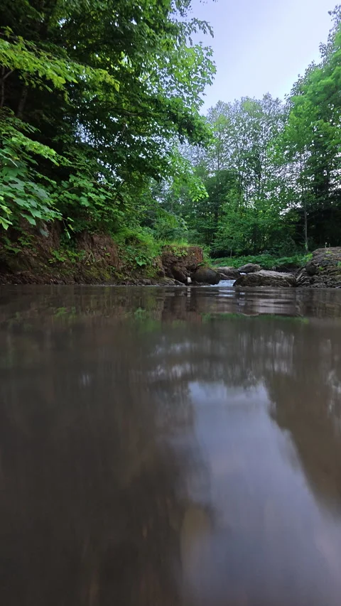 Split underwater view with sky and mountain river Stock Footage 331564759