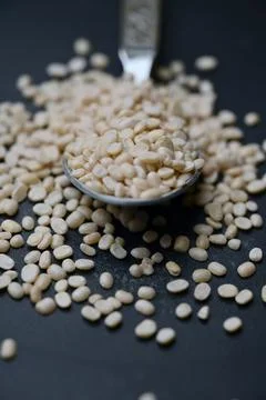 Split Urad Dal Held in Spoon, Angled Top View Food Macro Shot on Dark Defoc.. Stock Photos