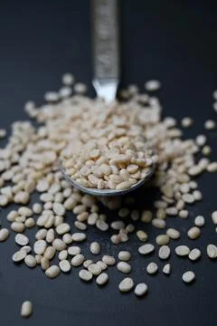 Split Urad Dal Held in Spoon, Angled Top View Food Macro Shot on Dark Defoc.. Stock Photos