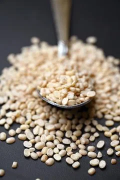 Split Urad Dal in Spoon Angled Top View with Defocus Background Macro Photo.. 스톡 사진