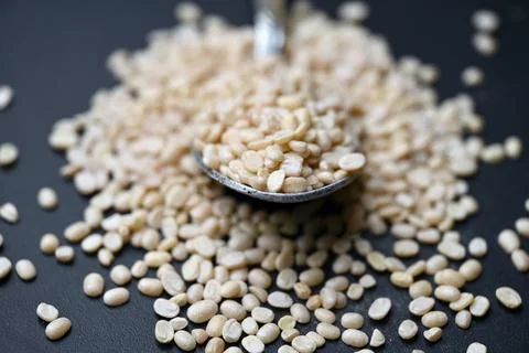 Split Urad Dal in Spoon, Angled Top View Macro Shot with Defocused Black Ba.. Foto stock
