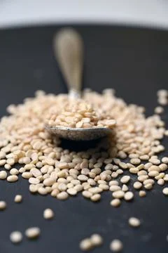 Split Urad Dal in Spoon, Angled Top View Macro Shot with Defocused Black Ba.. Fotos de archivo