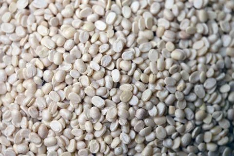 Split Urad Dal Texture with Defocus Background Macro Lentil Food Photography Stock Photos